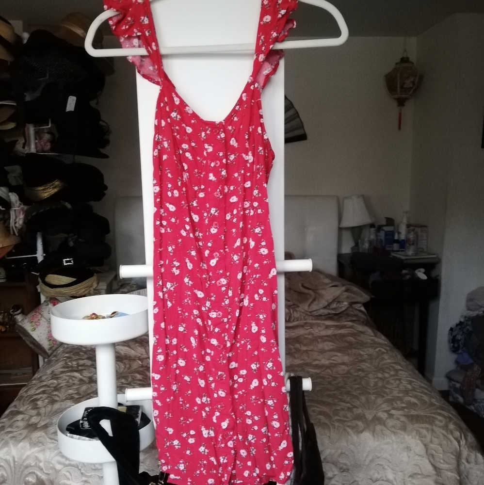 Mossimo Red and Pink Rose Print Dress